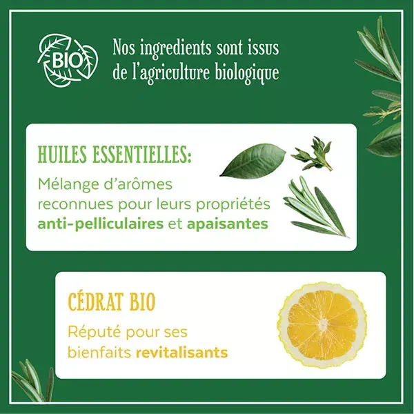 Le Petit Marseillais Shampoo Anticaspa com Cidra Orgânica 250ml