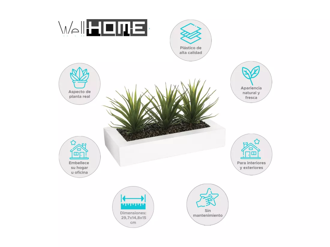 WELL HOME - Centre de table décoratif 3 plantes d'Aloe Vera H.17
