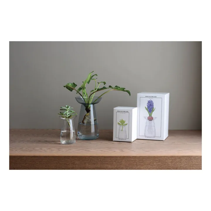 Kinto Vase en verre Aquaculture | Gris