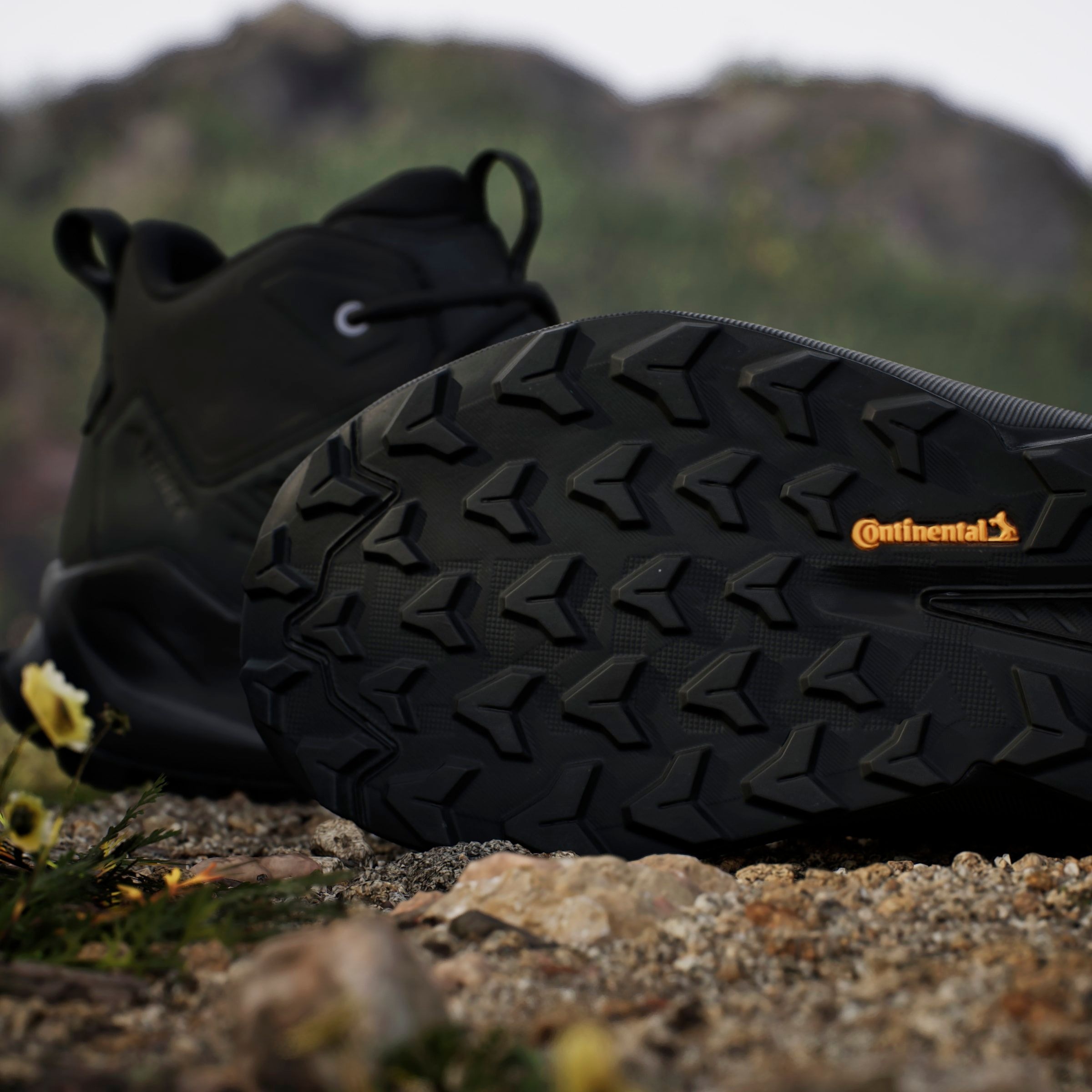 adidas TERREX Wanderschuh »TRAILMAKER 2.0 LEATHER«  aus Leder