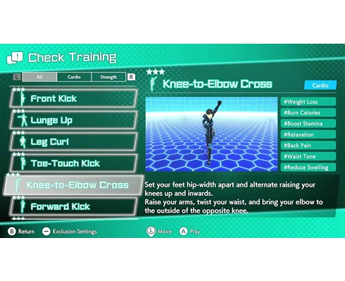 Nintendo Fitness Circuit