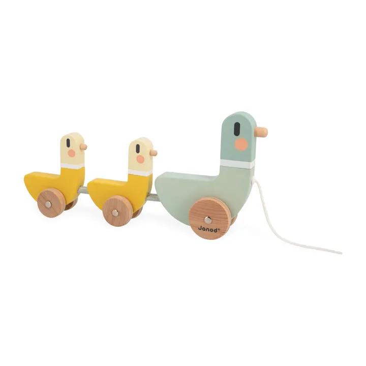 Janod Canards à Tirer