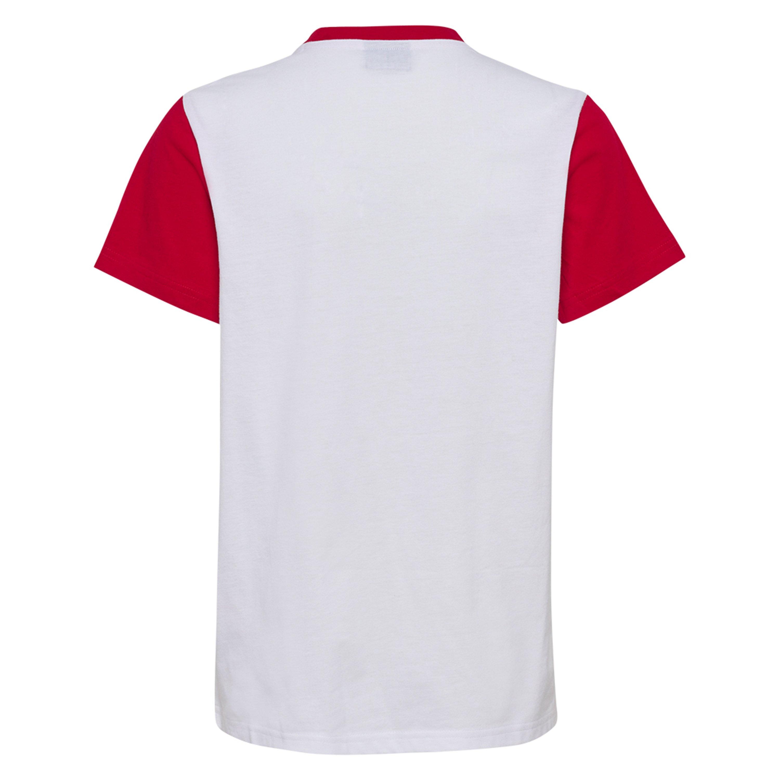 Hummel Denmark Fan Block T Shirt Junior