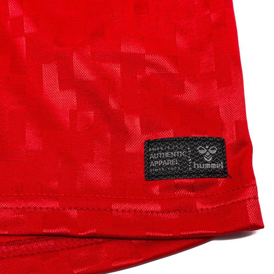Danemark Maillot Domicile 2024/25 Enfant