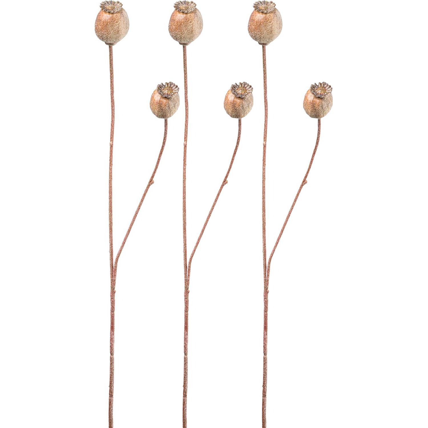 Kunstpflanze Mohnkapsel im 3er-Pack