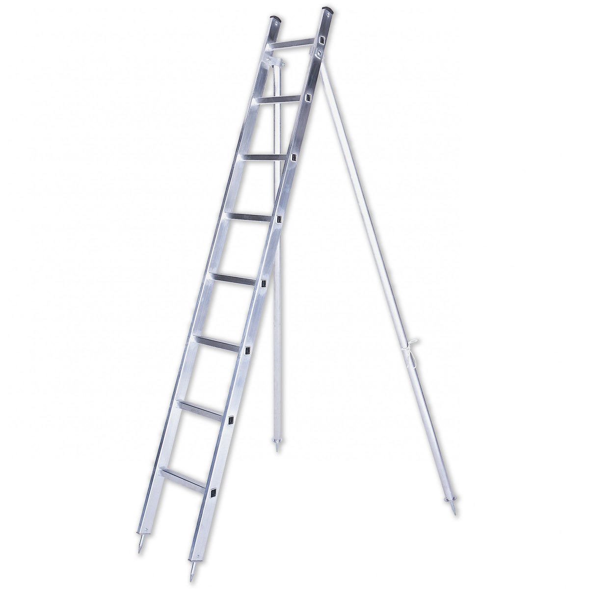 Iller fruitboomladder 6,55m AH, 1-delig met steunen en 20 sporten