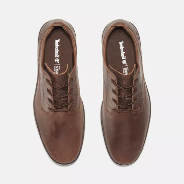 Chaussure en cuir Oxford Bradstreet pour homme en marron