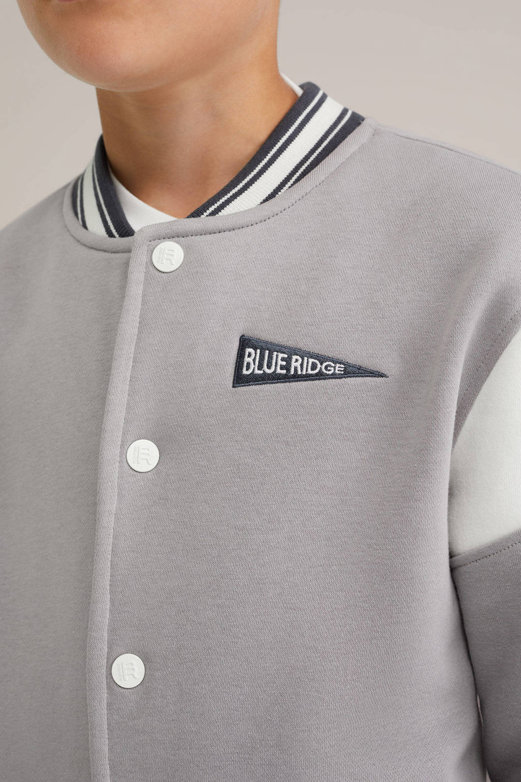 WE Fashion Blue Ridge bomberjack grijs