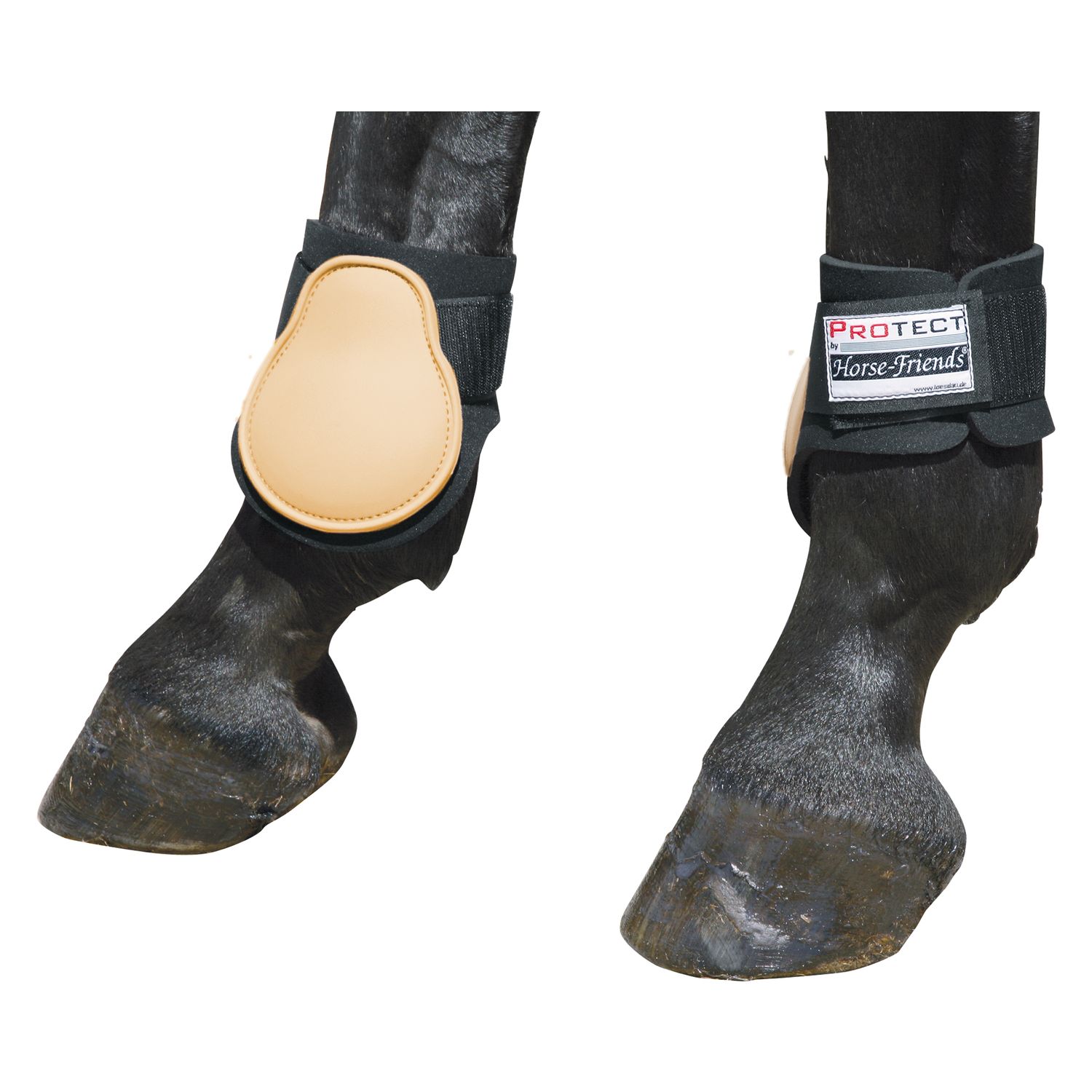 PROTECT by Horse-Friends Streichkappen  - beige