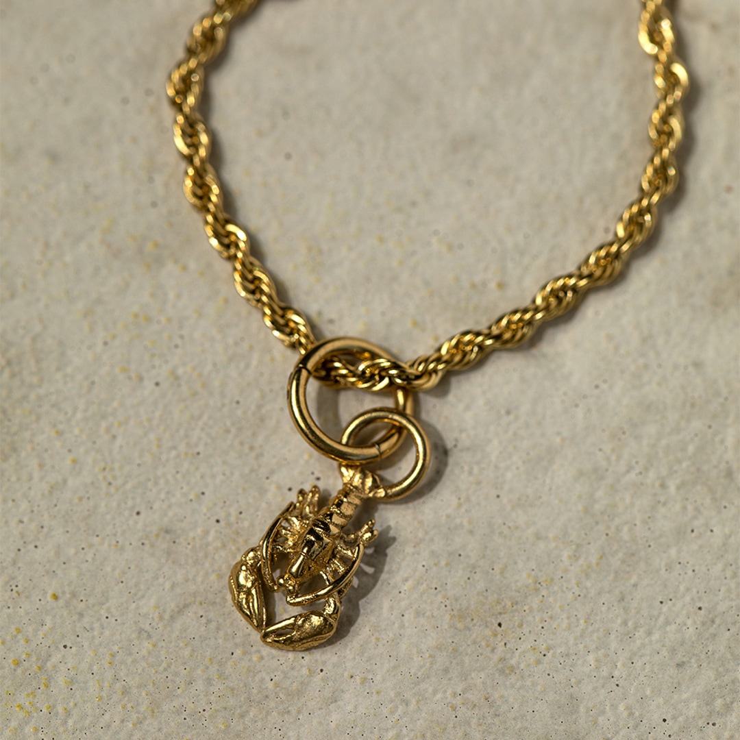 Paul Hewitt Charm-Armkette Rope Chain Marinium Ocean Steel Goldig
