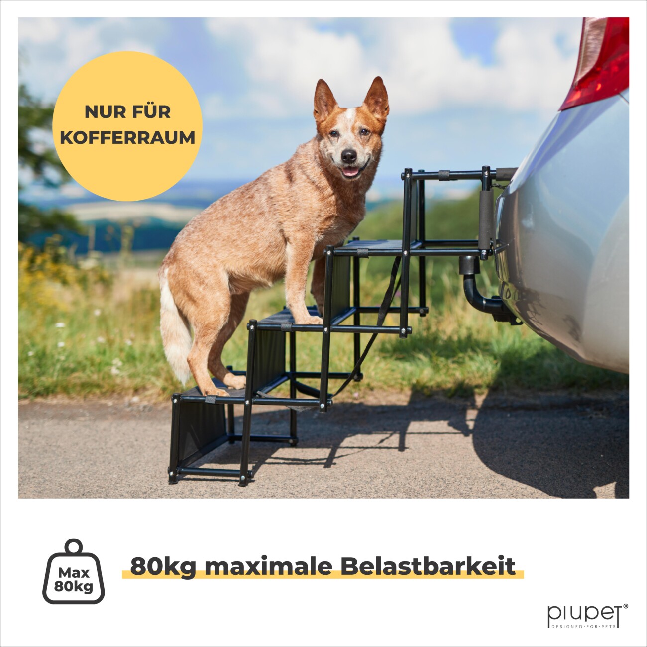 PIUPET Hundetreppe