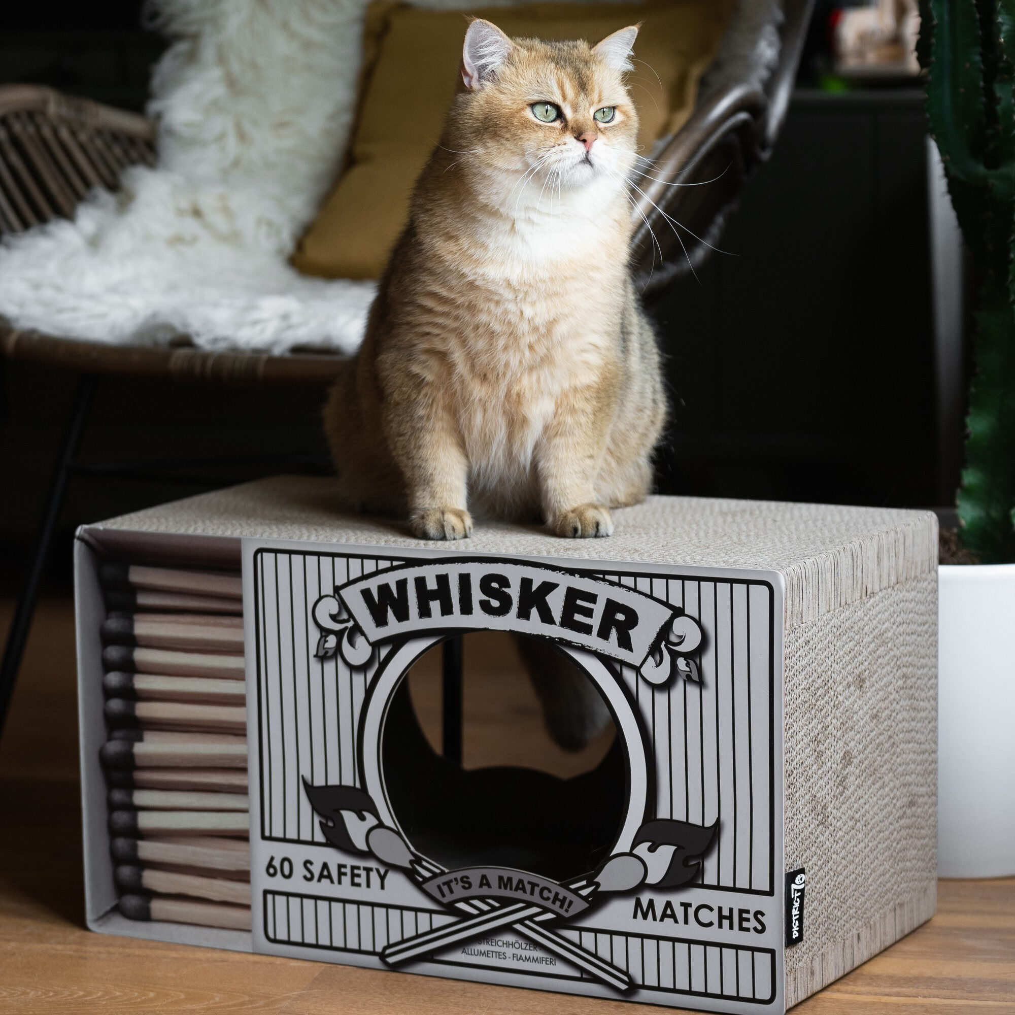 District 70 Whisker Krabkarton