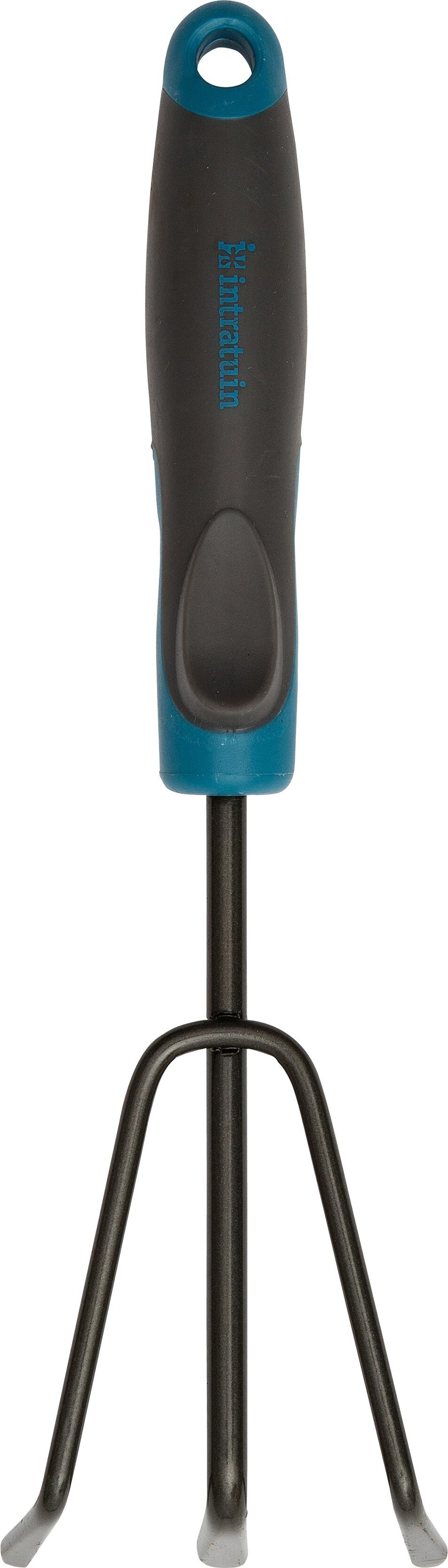 Intratuin onkruidwieder blauw/zwart