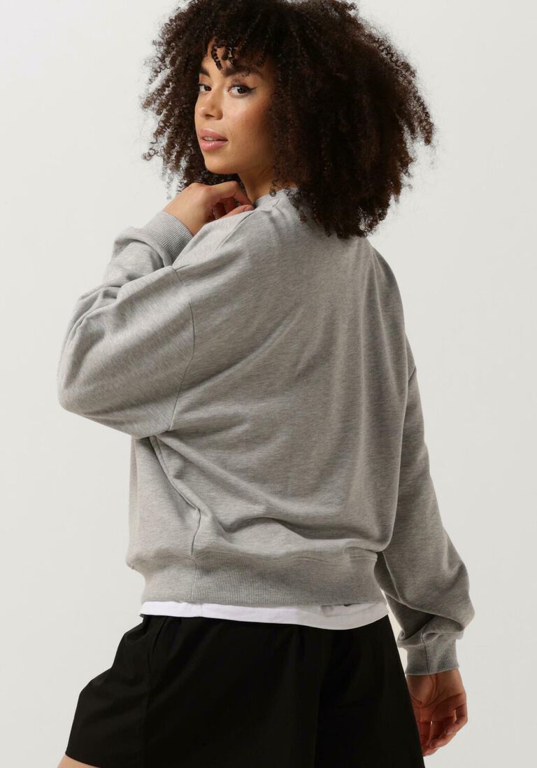 DEBLON SPORTS grijze deblon sports sweater cia sweater