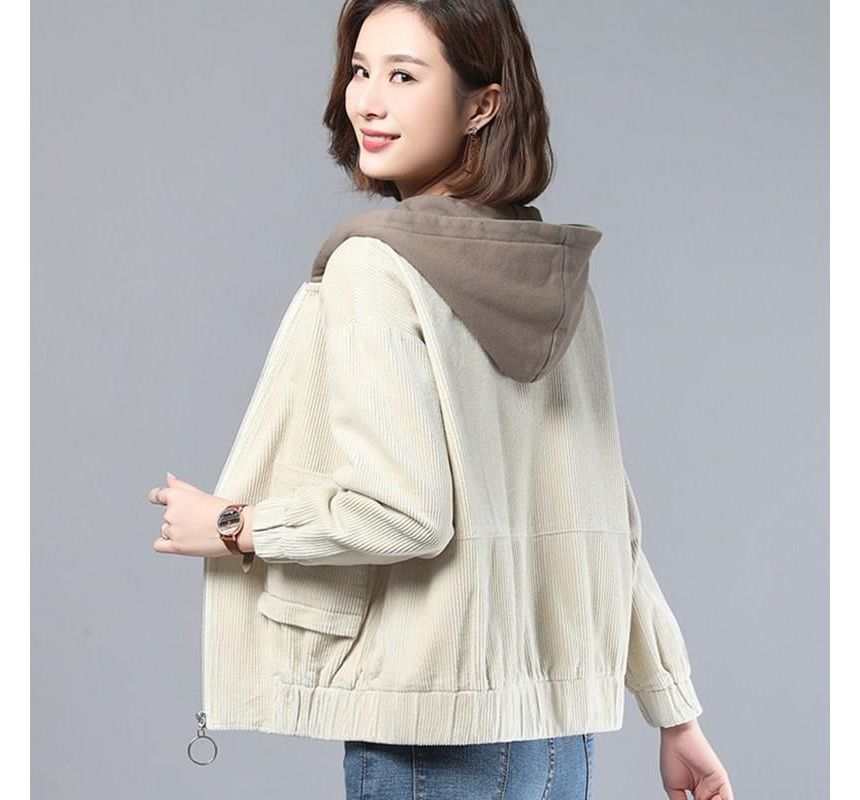 Everose - Corduroy jack met capuchon en rits