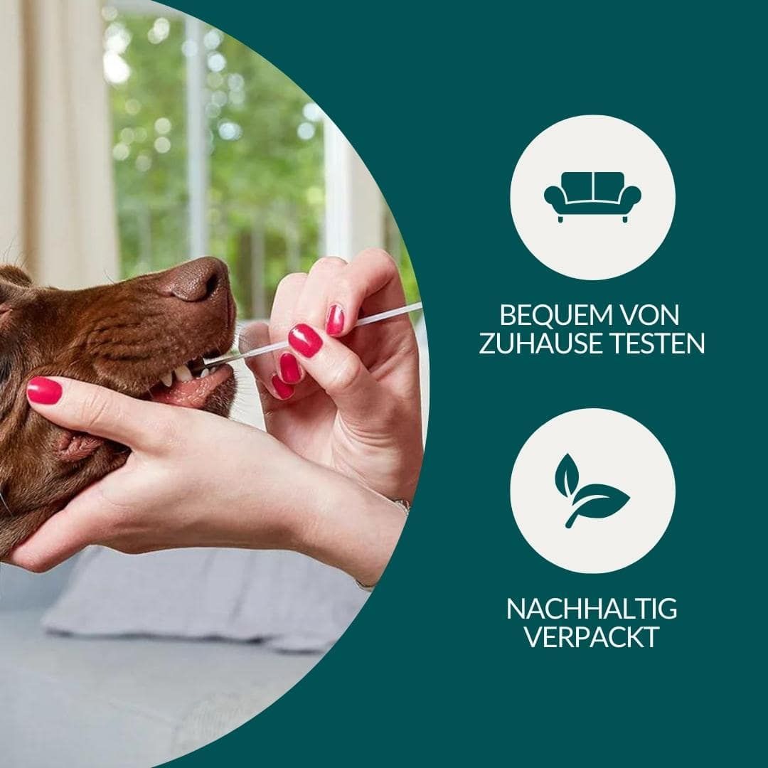 Allergietest Plus Hund