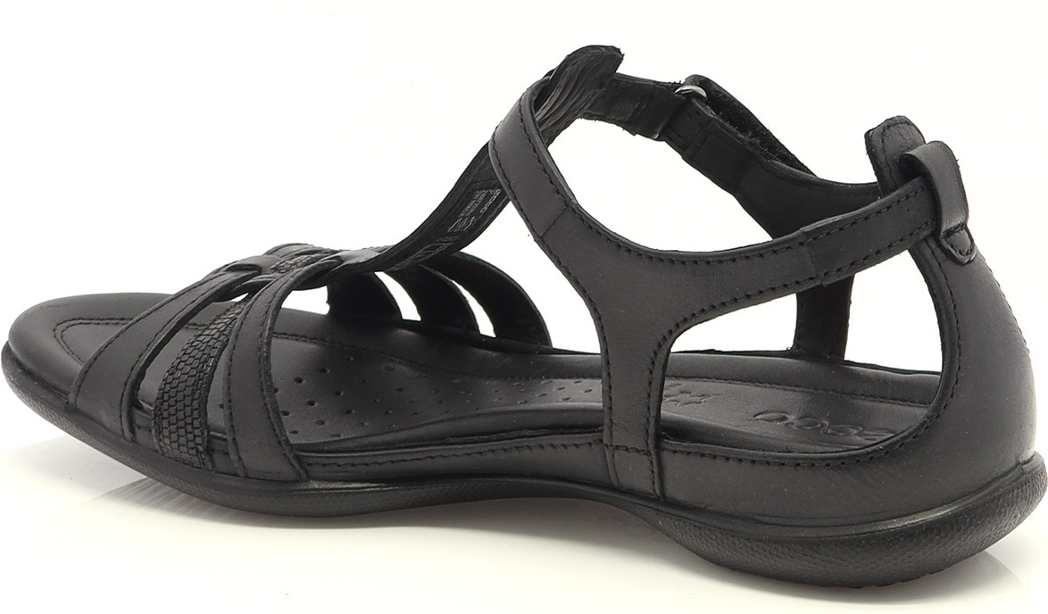 81478 ECCO