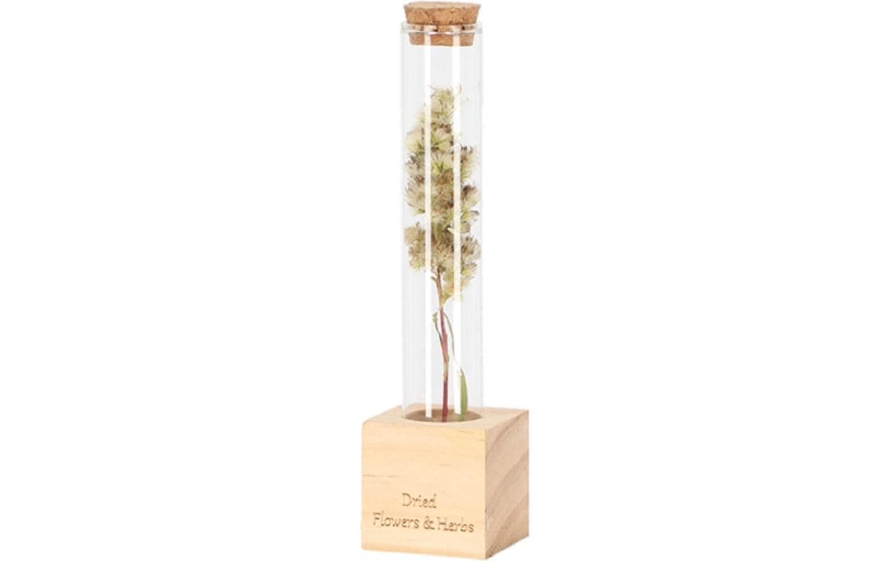 Vase Reagenzglas S 16.5 cm, Nature/TransparentReagenzglas mit Holzsockel