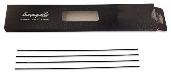 Lot de 4 rayons arrière droit Campagnolo scirocco 35