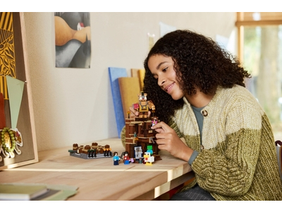 LEGO De arena bij het boslandhuis (21272)