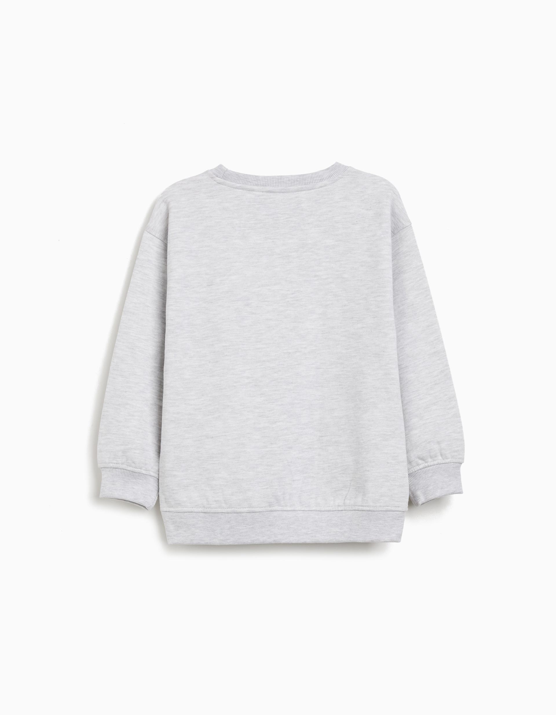 Sweatshirt de Felpa, Menino, Cinzento Claro