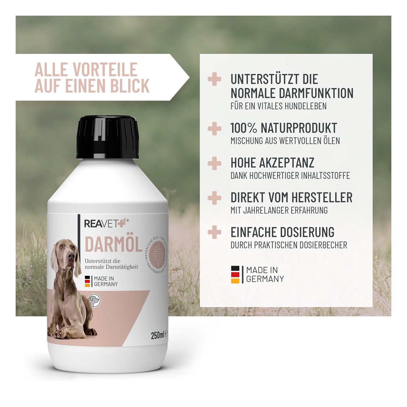 REAVET Darmöl 250ml