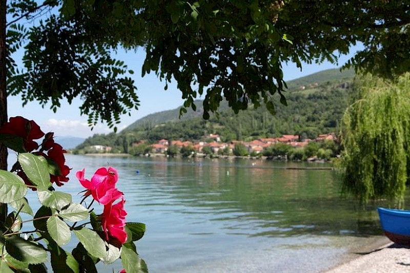 Villa Mimi