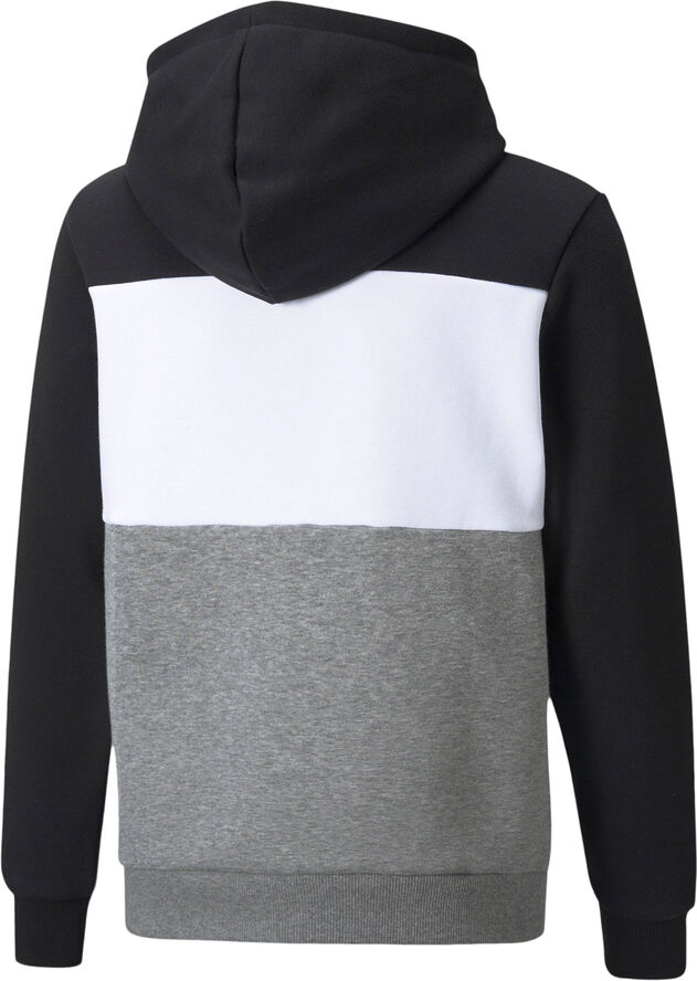Puma Essentials  Colourblock hættetrøje Grå