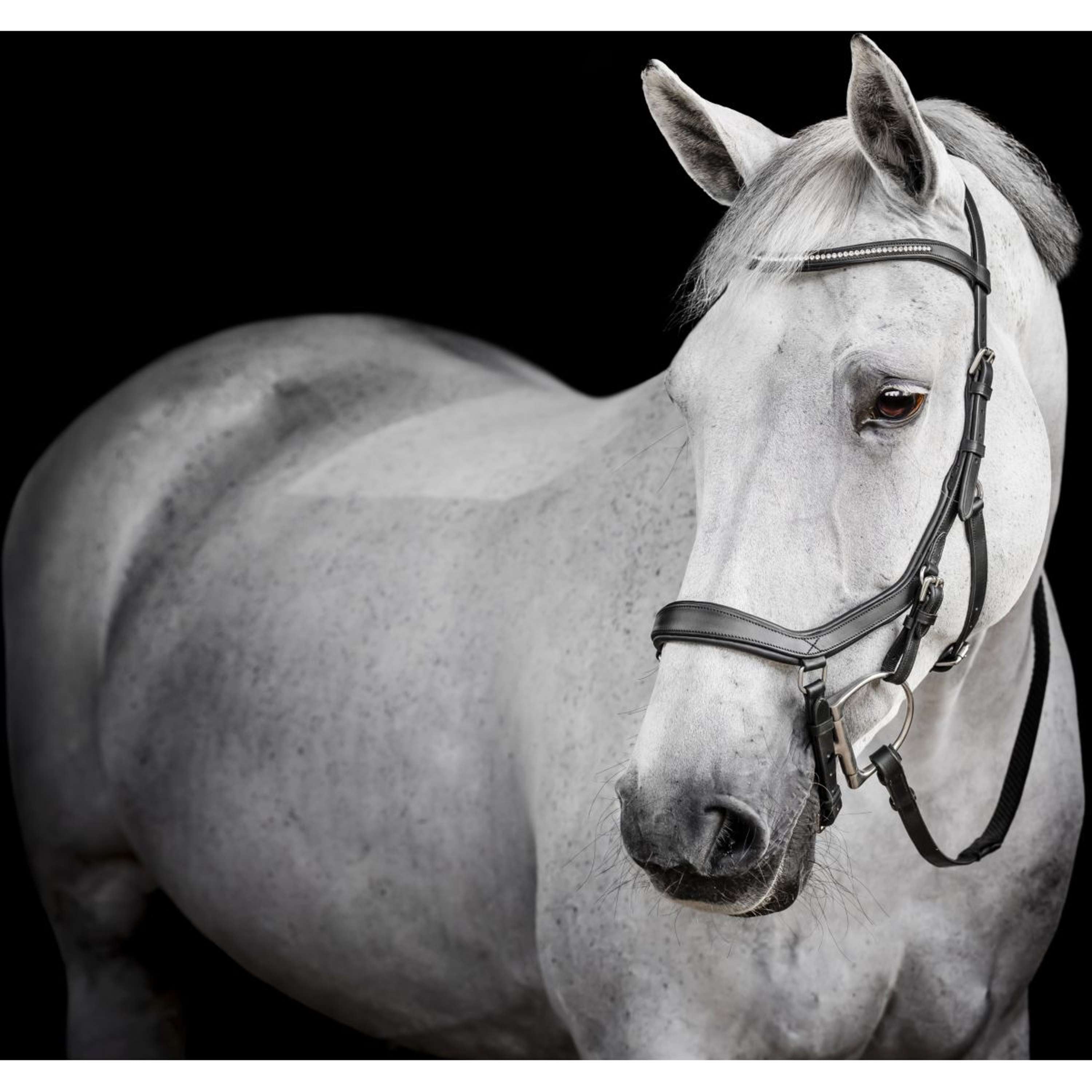 Horseware Micklem Diamante Competition Bridle Zwart