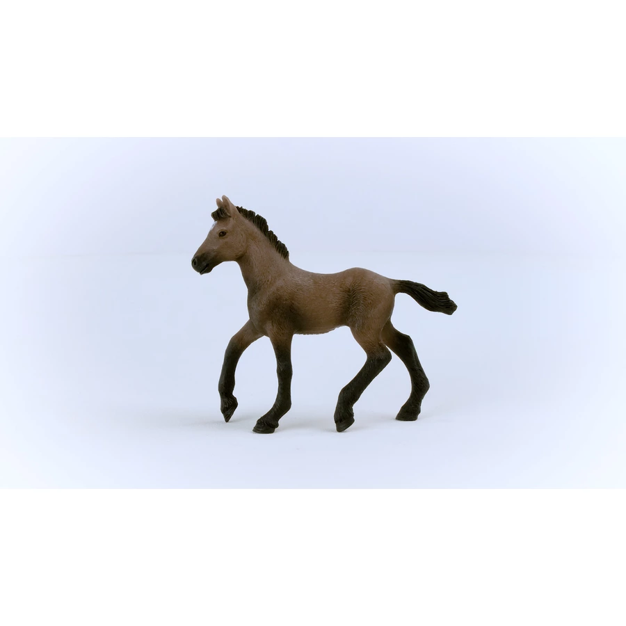 schleich® Paso Peruano Fohlen 13954
