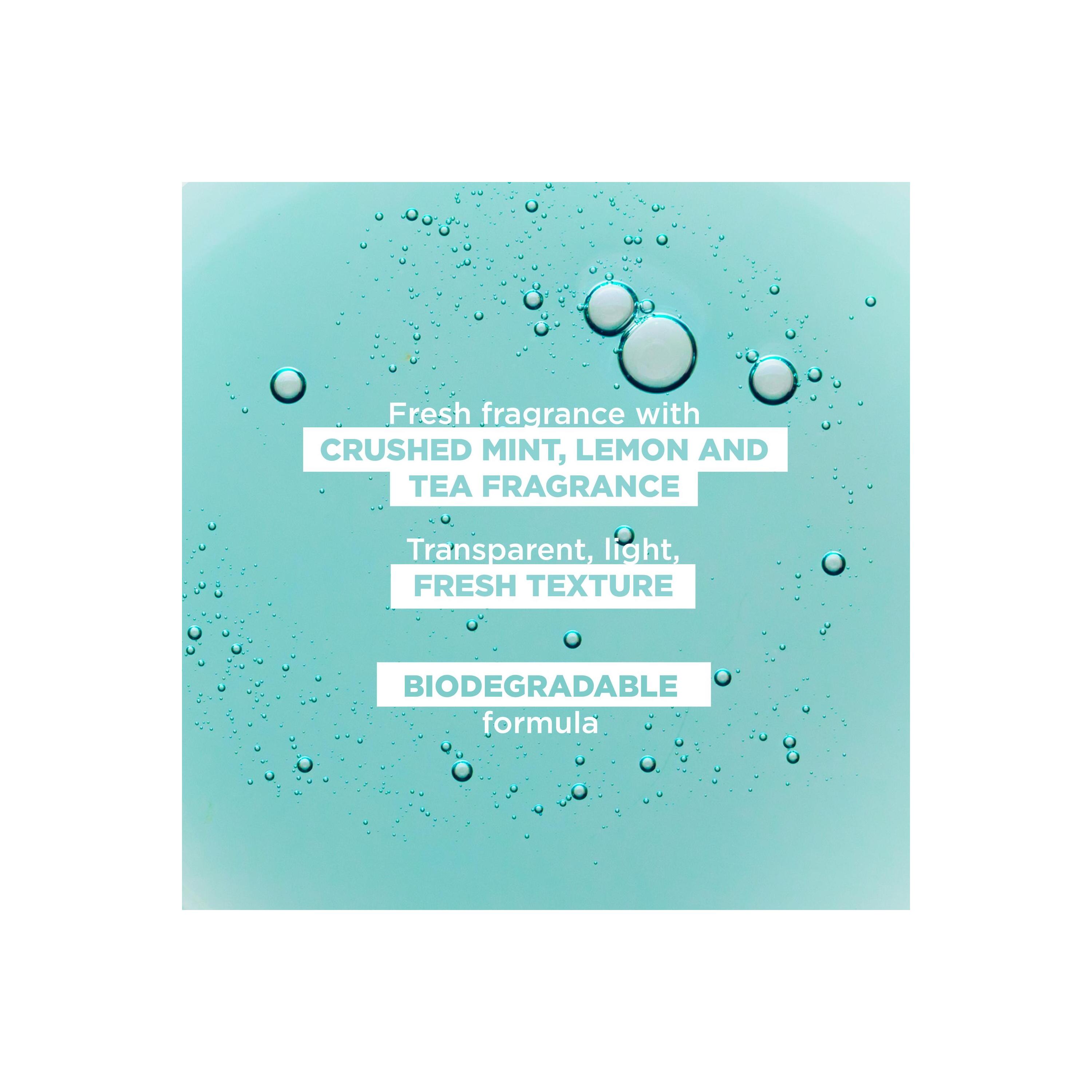 Klorane Wasserminze Bio Shampoo liq Fl 200 ml