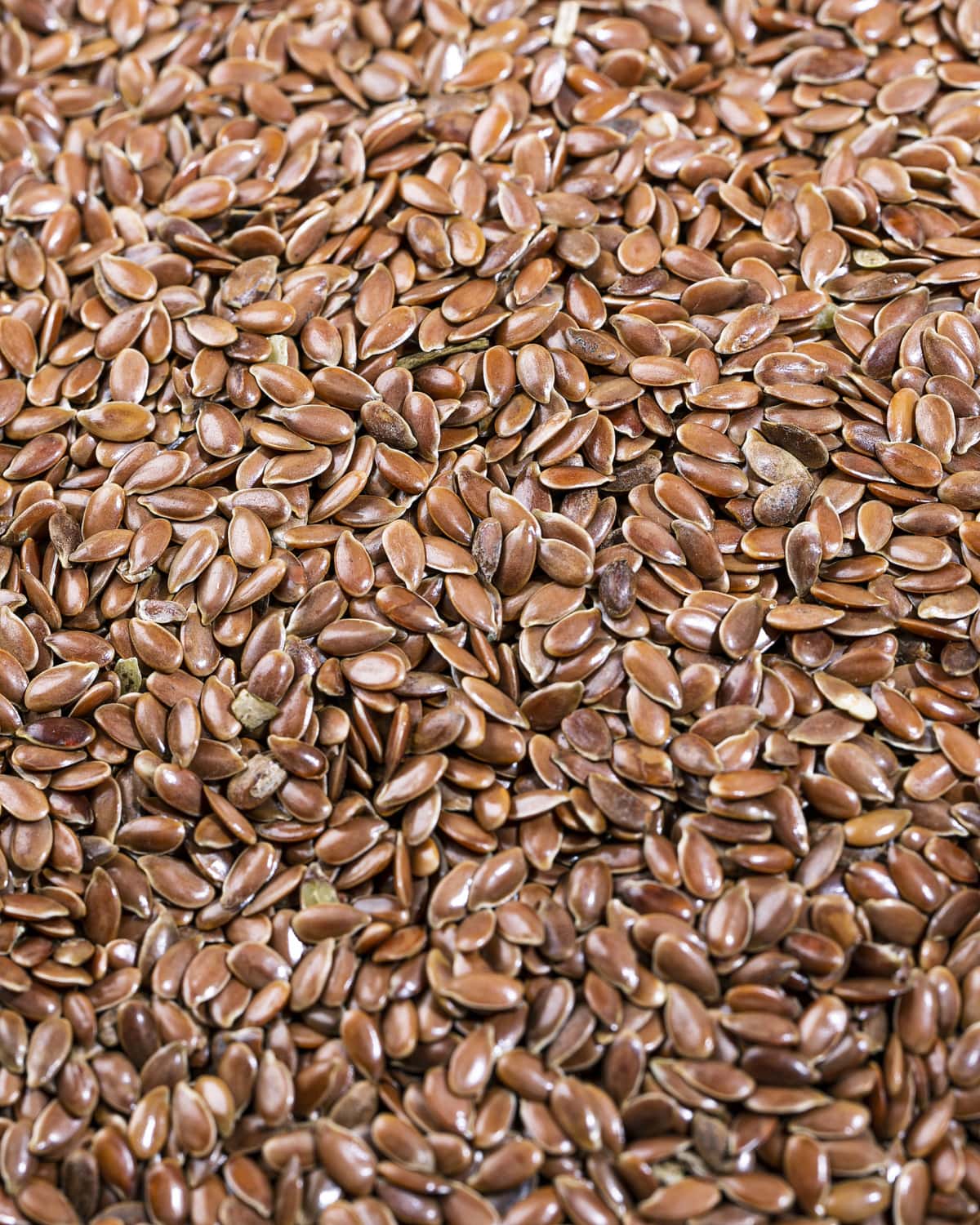 SunnRask Linfrø 1kg