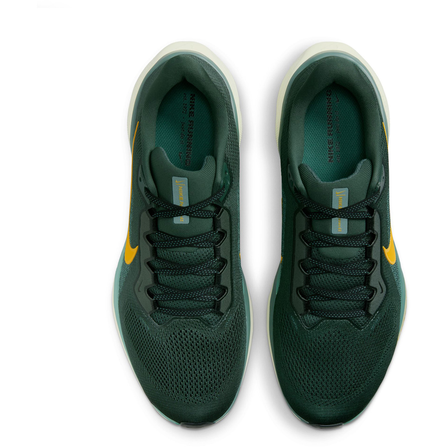 Nike Pegasus 41 Heren