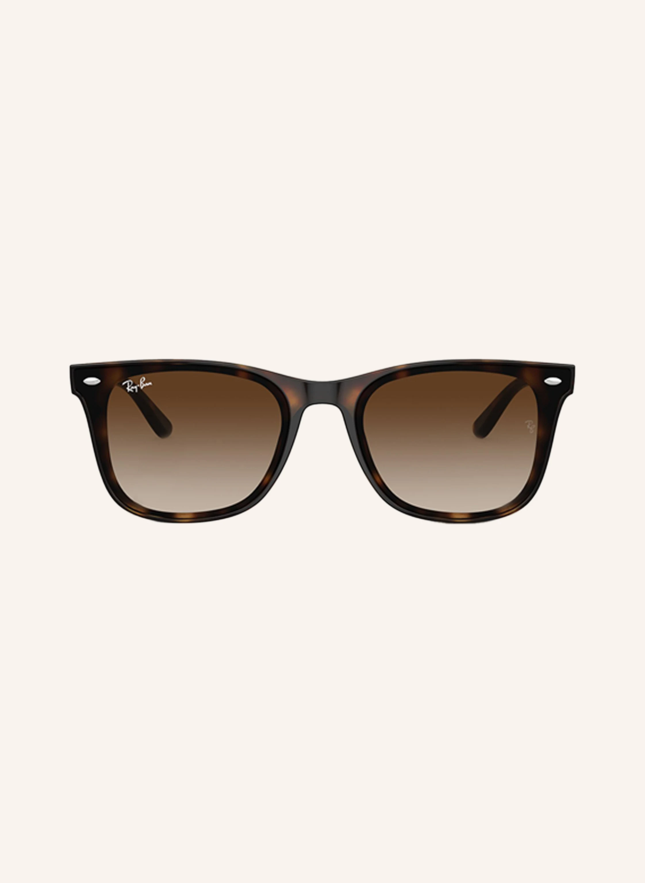 Ray-Ban Sonnenbrille RB4420