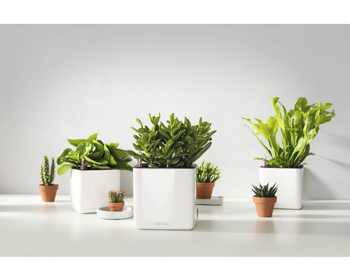 Lechuza Cube Glossy kunststof bloempot 16x16x16 cm wit incl. zelfbewateringssysteem en plantenbak