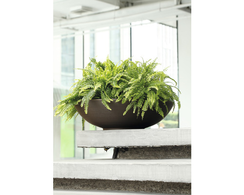 Plantenschaal Lafiora Liam Ø 60 cm H 16,5 cm roest