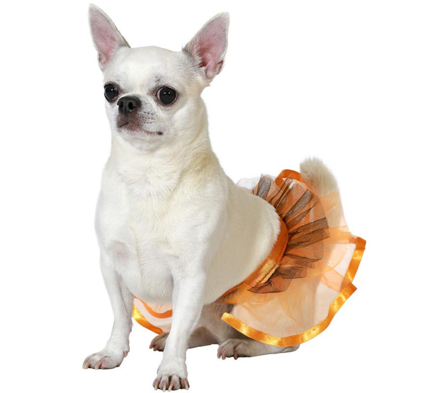 Fantasia de tutu laranja Atosa para cães