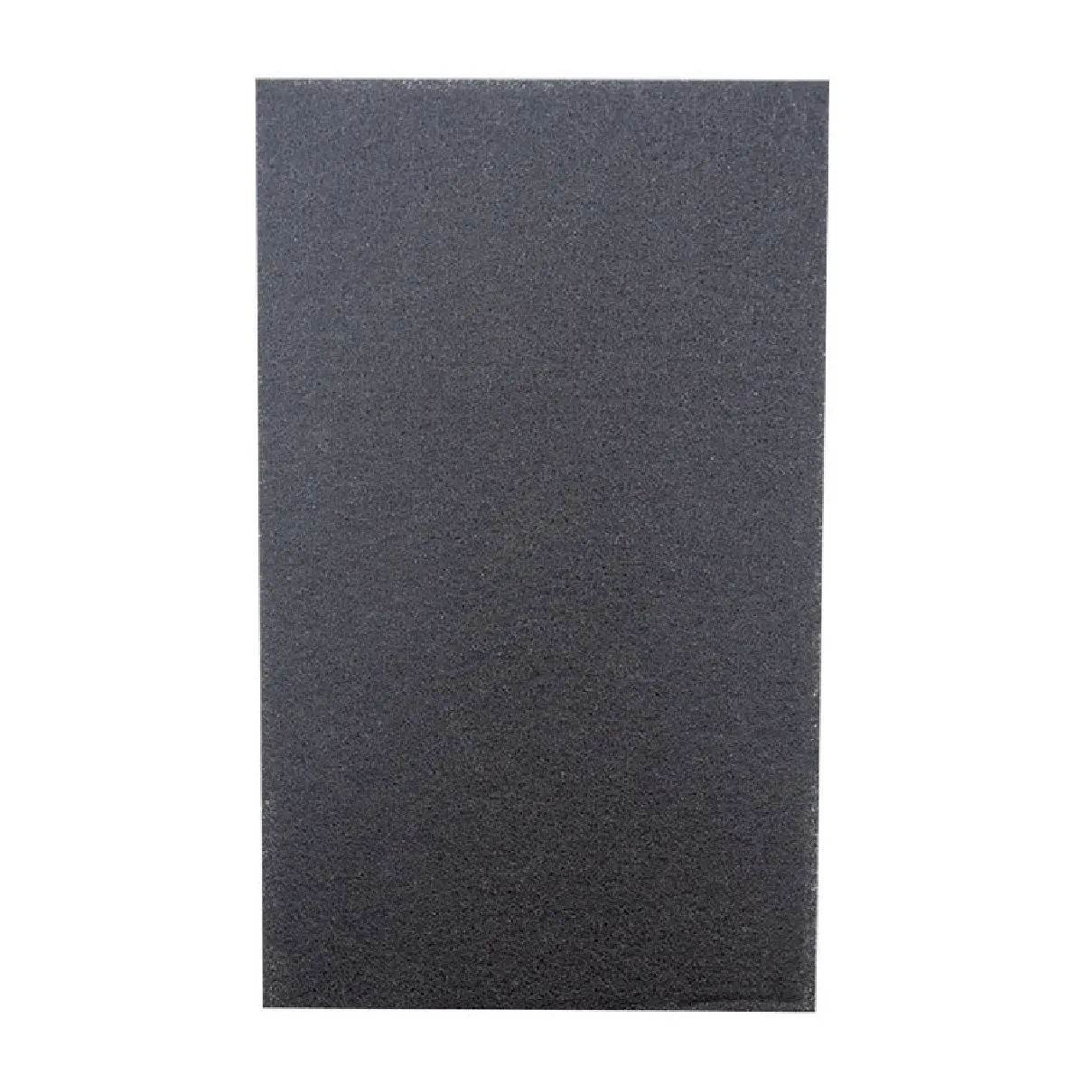 Wewoo Filtre CS100 Remplacement