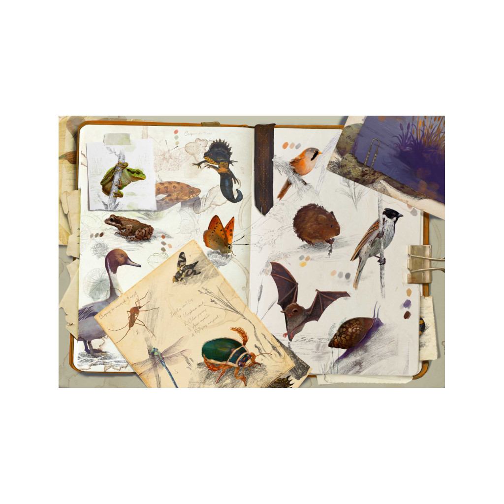 Puzzle Biotopes - 1000 Pièces