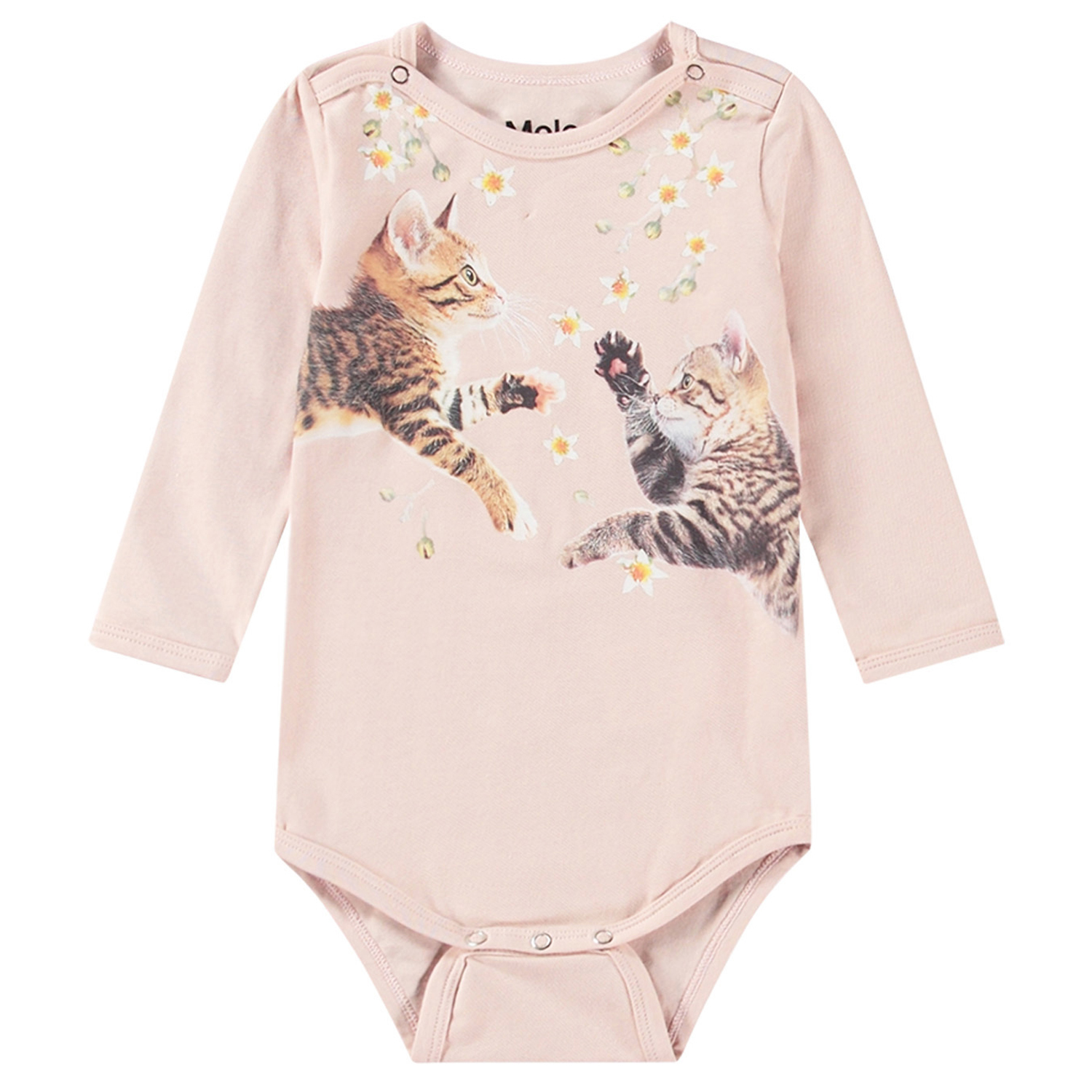 Foss - Jumping Kittens
