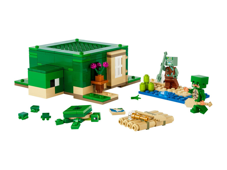 Het schildpadstrandhuis 21254