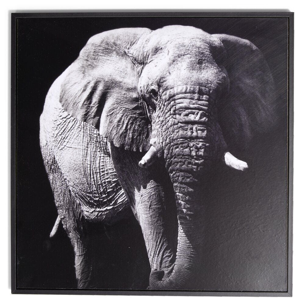 Cadre déco en bois photo éléphant 30x30cm