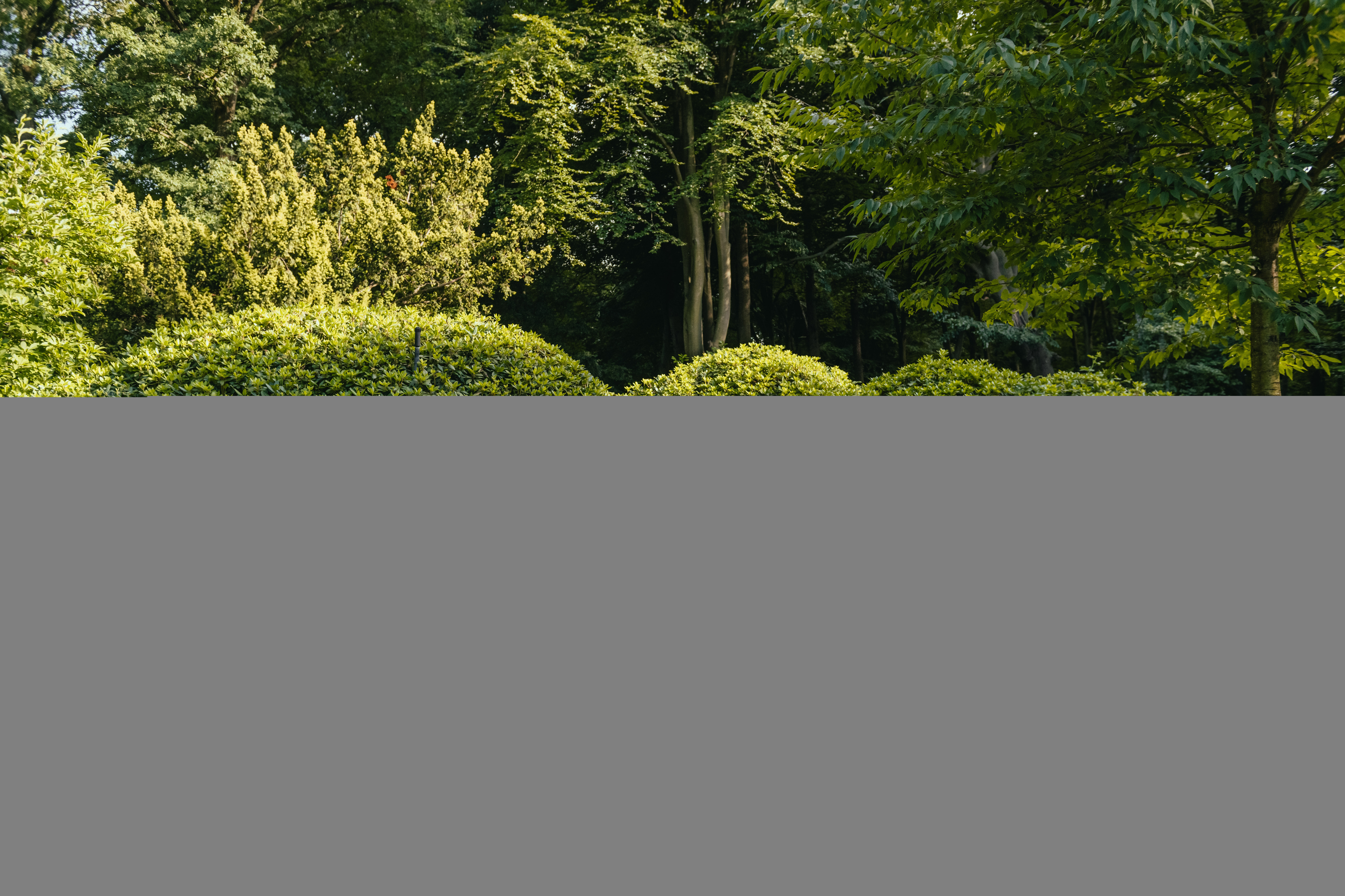 Nestera Penthouse - Kippenhok - tot 8 kippen - Zwart/Groen - Rechts - L