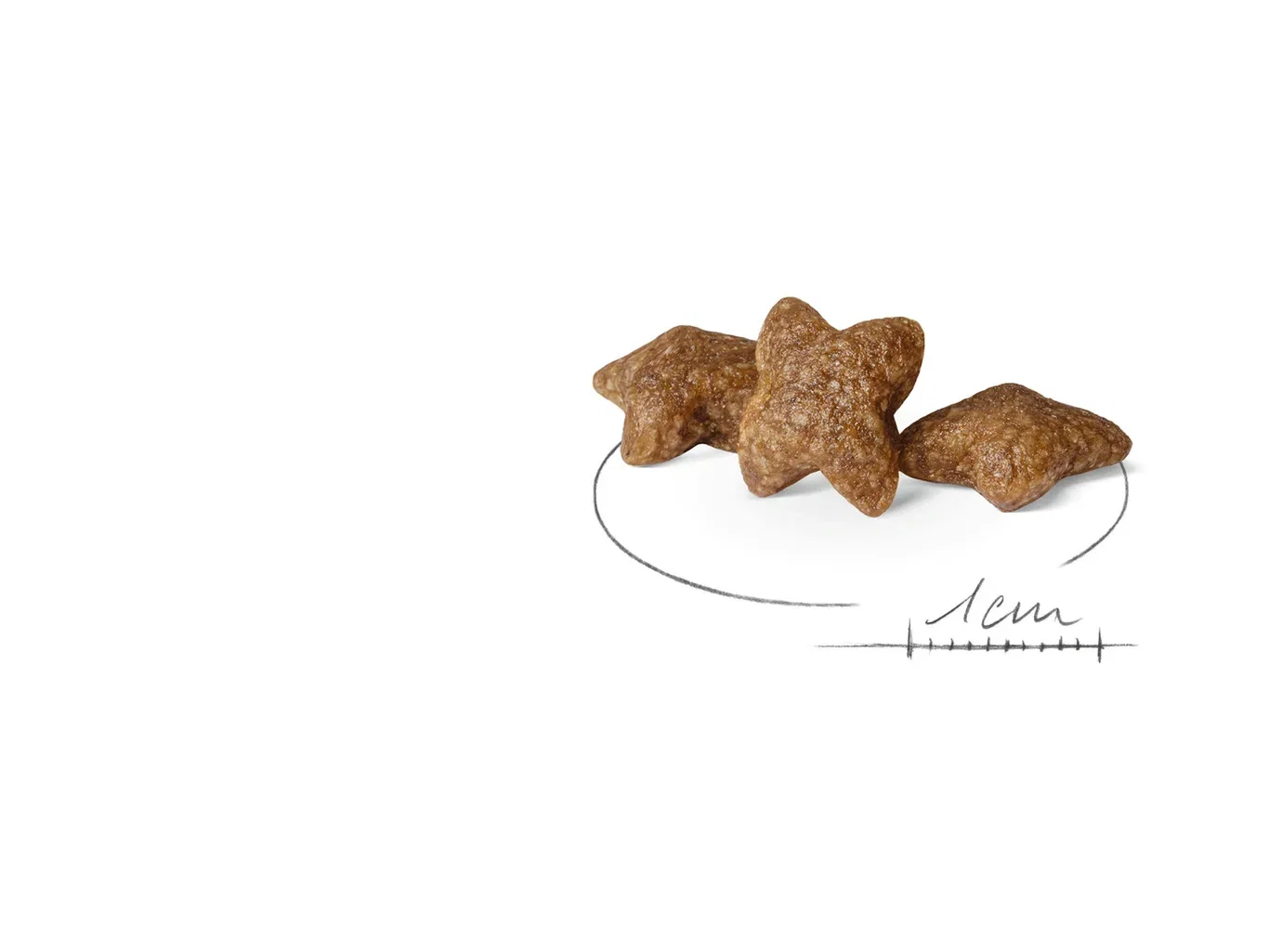 Royal Canin Royal Canin Mini Adult 2 kg