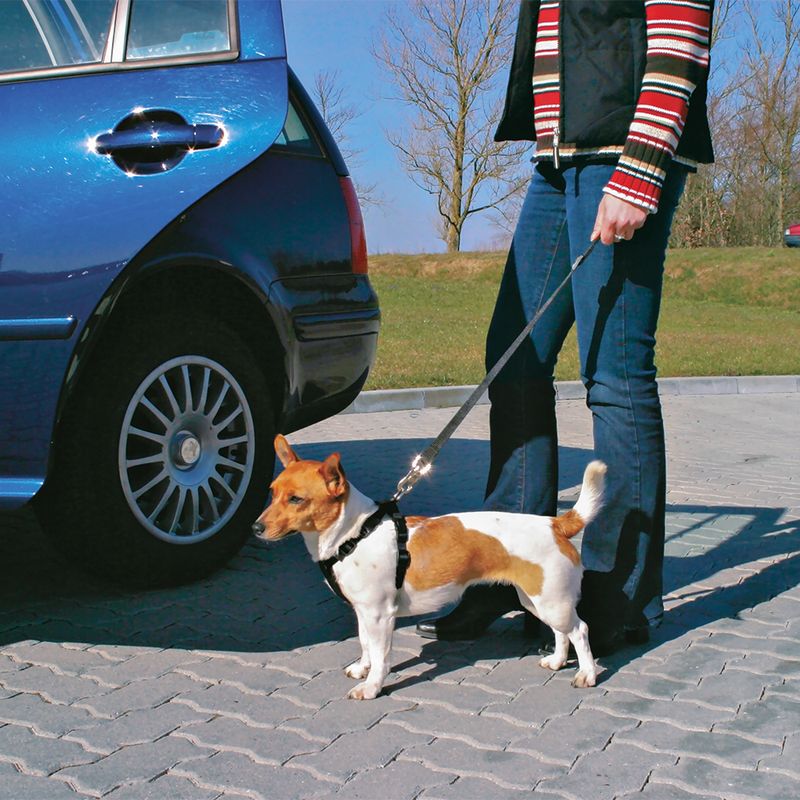 Sangle de sécurité auto Trixie Friends on Tour