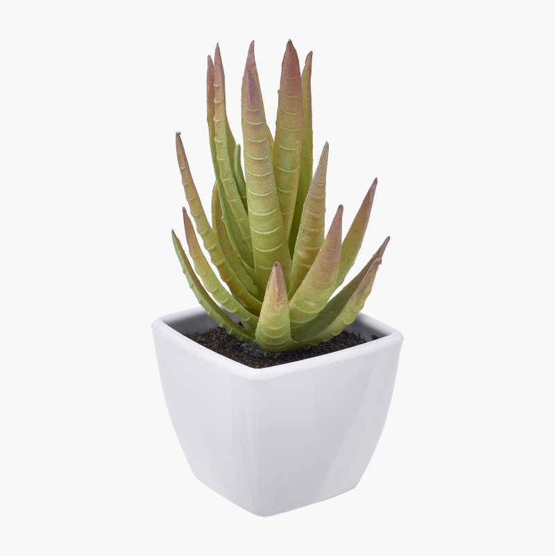Kunstig plante, sukkulent, 2-pakning