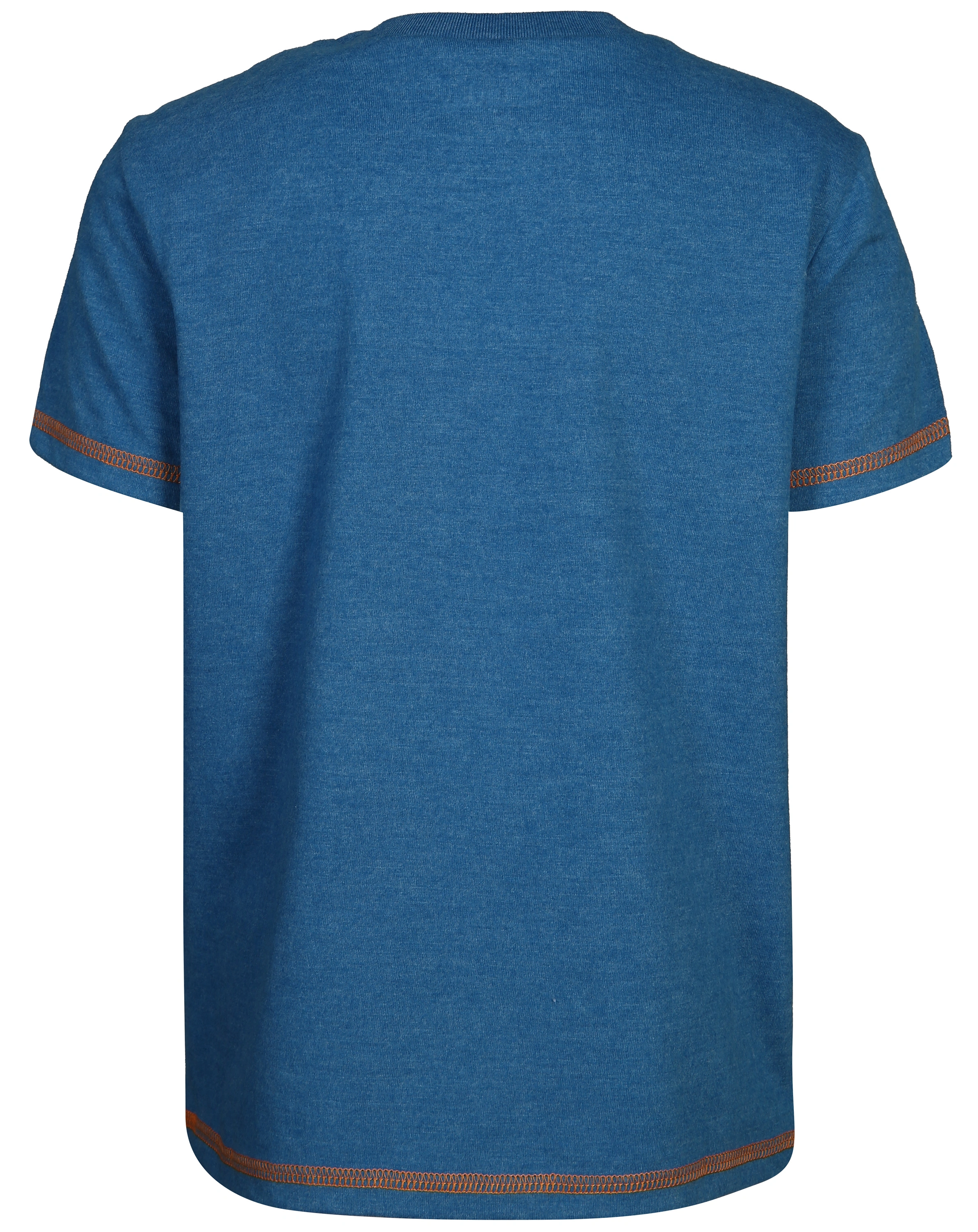 T-Shirt GLOW IN THE DARK - DINO in blau melange