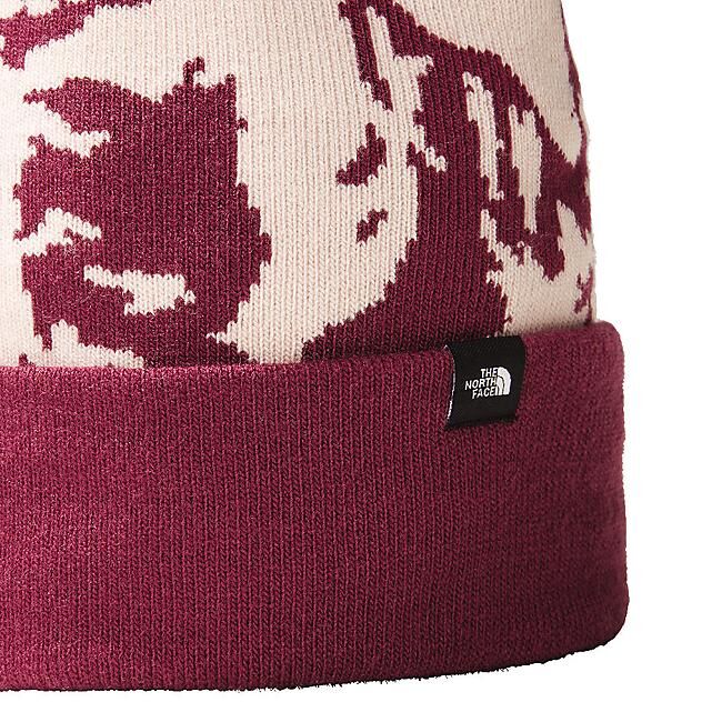 THE NORTH FACE - BONNET POMPON SKI TUKE