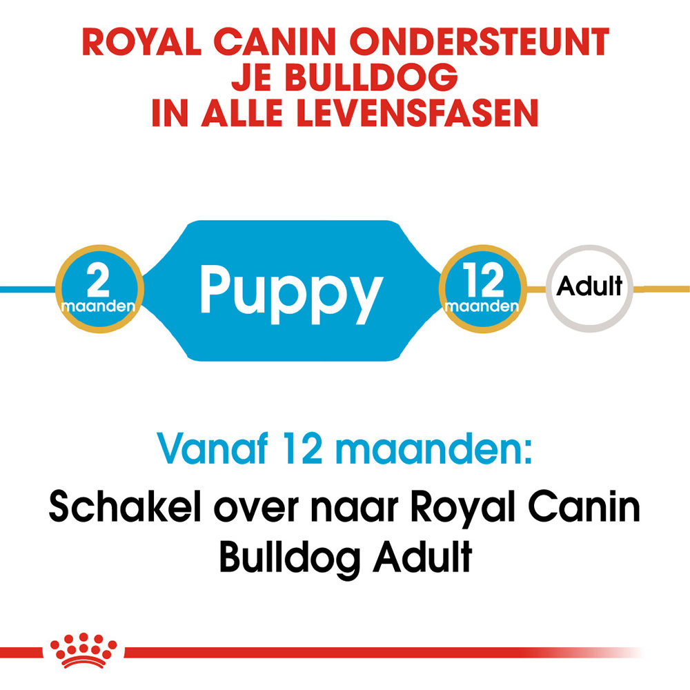Royal Canin Bulldog Puppy - Hondenvoer