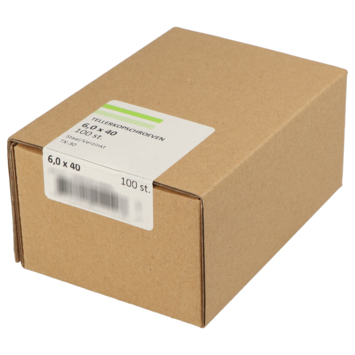 Tellerkopschroef verzinkt 6x40 mm 100 stuks